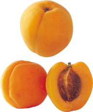 Peach PNG Free Download 21