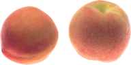 Peach PNG Free Download 22