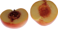 Peach PNG Free Download 23