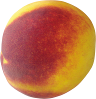 Peach PNG Free Download 27