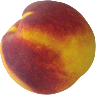 Peach PNG Free Download 28