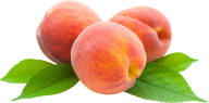 Peach PNG Free Download 30