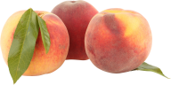 Peach PNG Free Download 31