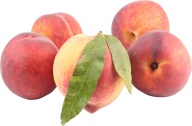 Peach PNG Free Download 33