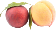 Peach PNG Free Download 34