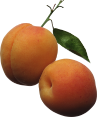 Peach PNG Free Download 4
