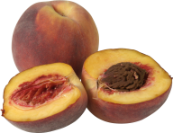 Peach PNG Free Download 46