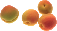 Peach PNG Free Download 61
