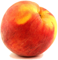 Peach PNG Free Download 62