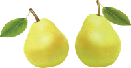 Pear PNG Free Download 10
