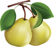 Pear PNG Free Download 11
