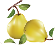 Pear PNG Free Download 16