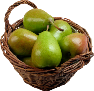 Pear PNG Free Download 26
