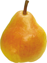 Pear PNG Free Download 29