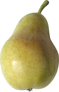 Pear PNG Free Download 32