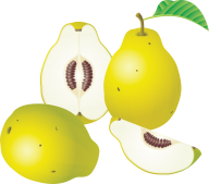 Pear PNG Free Download 9