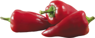 pepper_PNG3225
