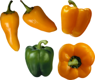 pepper_PNG3229