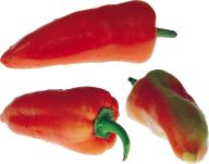 pepper_PNG3244