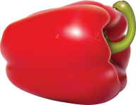 pepper_PNG3250