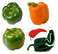 pepper_PNG3251
