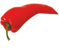 pepper_PNG3267