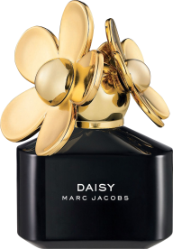 Perfume PNG Free Download 43