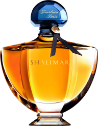 Perfume PNG Free Download 65