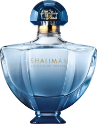 Perfume PNG Free Download 68