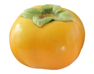 Persimmon PNG Free Download 1