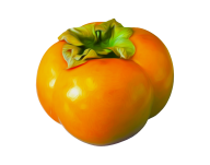 Persimmon PNG Free Download 5
