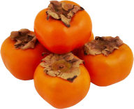 Persimmon PNG Free Download 7