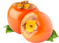 Persimmon PNG Free Download 8