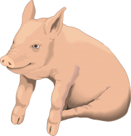 Pig PNG Free Download 18