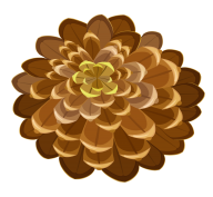 Pine Cone Drawn Image