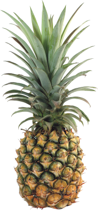 Pineapple PNG Free Download 13