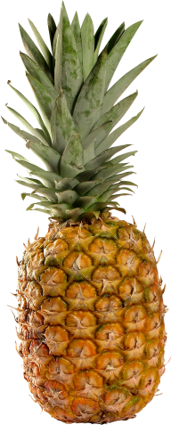 Pineapple PNG Free Download 20