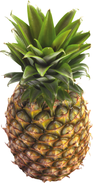Pineapple PNG Free Download 24