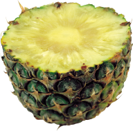 Pineapple PNG Free Download 25