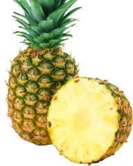 Pineapple PNG Free Download 28