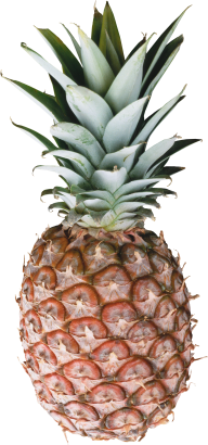 Pineapple PNG Free Download 29