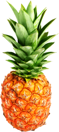 Pineapple PNG Free Download 3