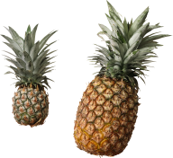 Pineapple PNG Free Download 6