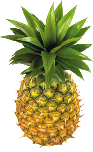 Pineapple PNG Free Download 8