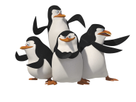 Pinguin PNG Free Download 14
