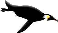 Pinguin PNG Free Download 6