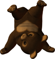 Playing Bear Png