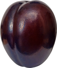 Plum PNG Free Download 1