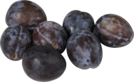 Plum PNG Free Download 10