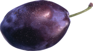 Plum PNG Free Download 12
